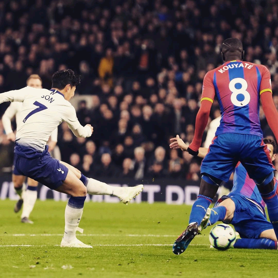 关注的事实 关注的事实